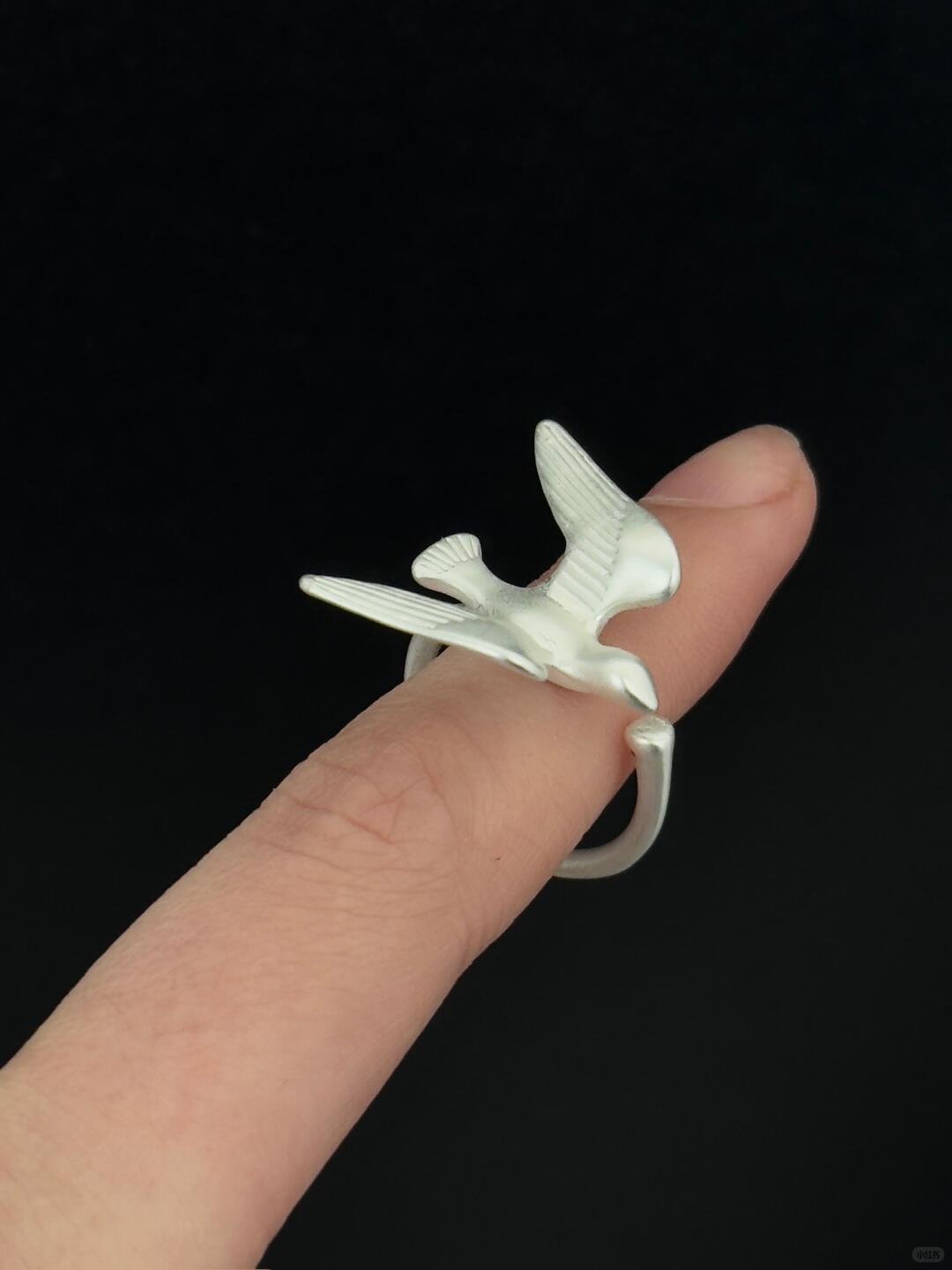 Albatross Lift | Headwinds Are True Lift Statement Ring (Y2K Limited)