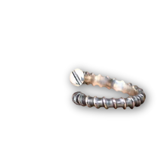 Vintage Ring | Rusted Nail – Freedom in Decay (Limited Edition)