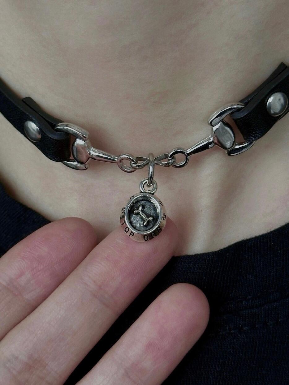 Chow Down Puppy Choker - Adjustable Stainless Steel Pet Necklace