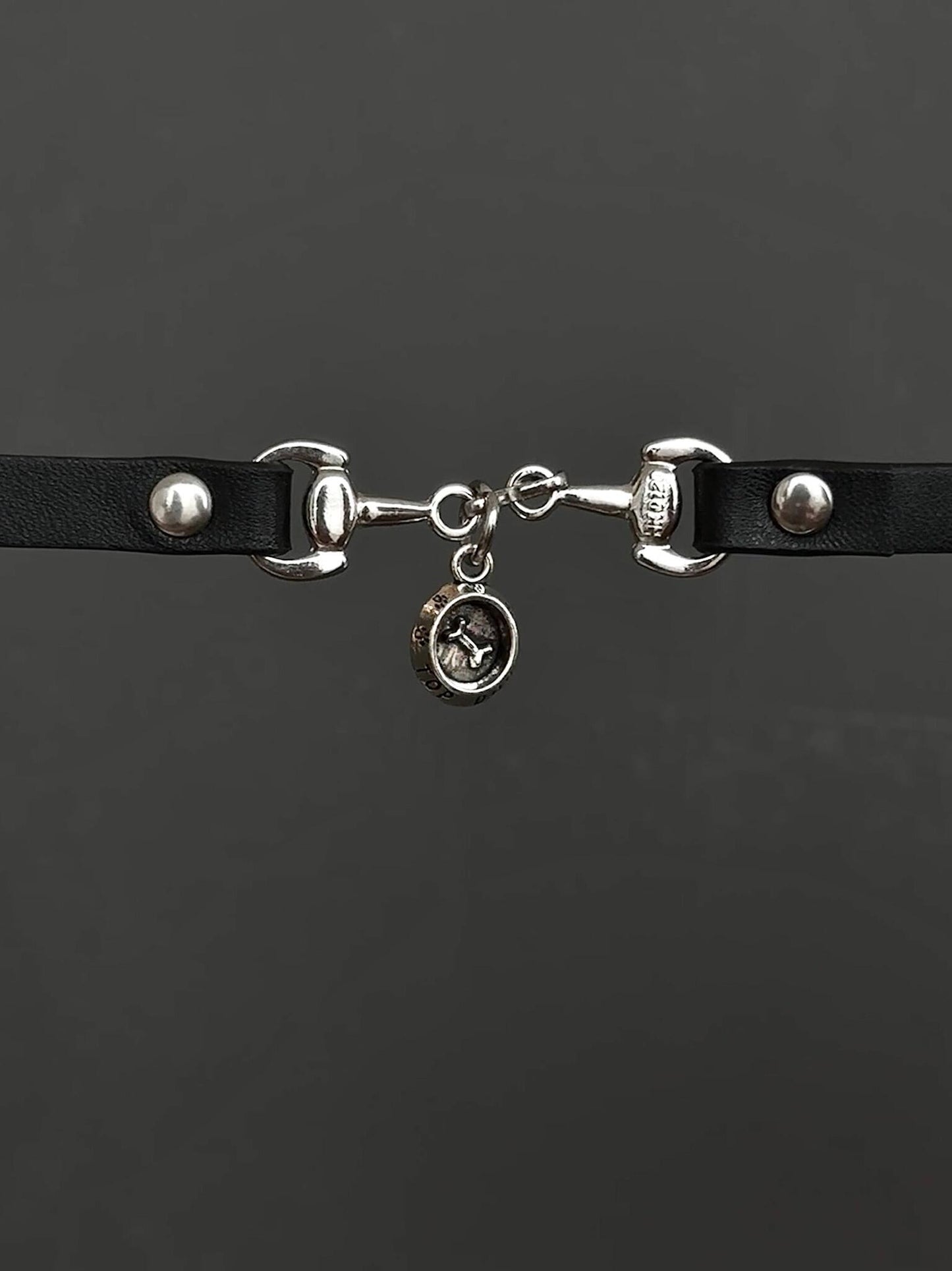 Chow Down Puppy Choker - Adjustable Stainless Steel Pet Necklace