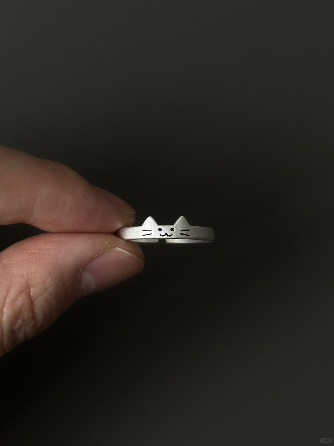 Eternal Paws Love | Matching Sterling Silver Couple Rings (Y2K Limited)