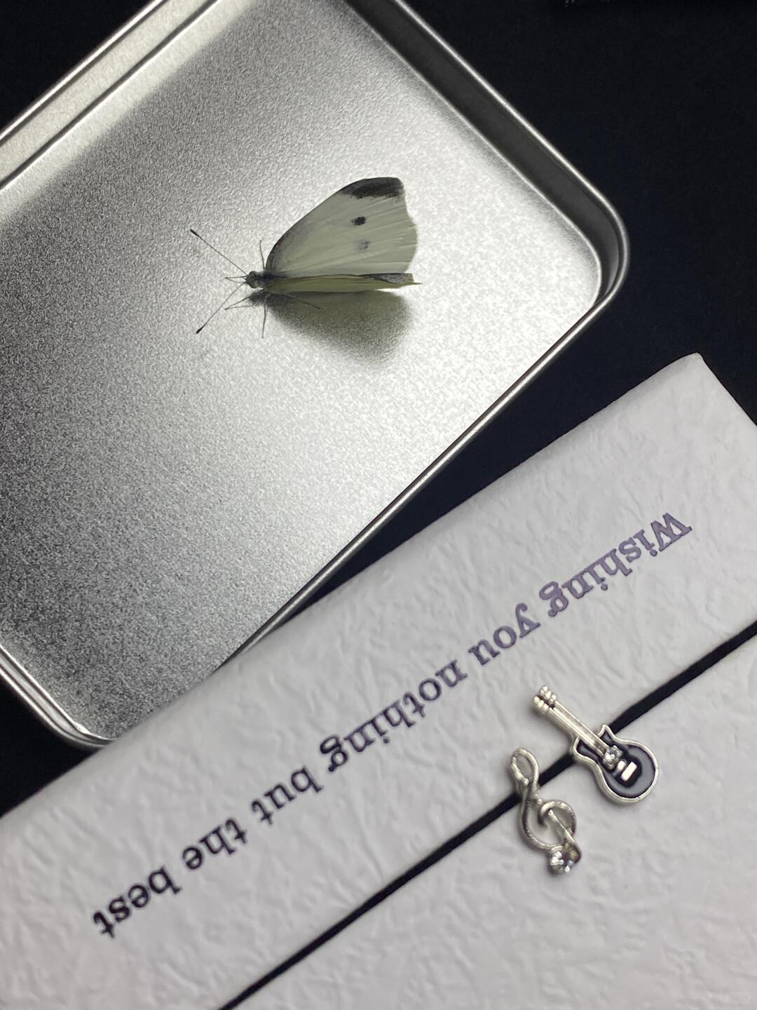 Guitarist Groupie Stud Earrings | Indie Melody & Everyday Edge (Limited Edition)