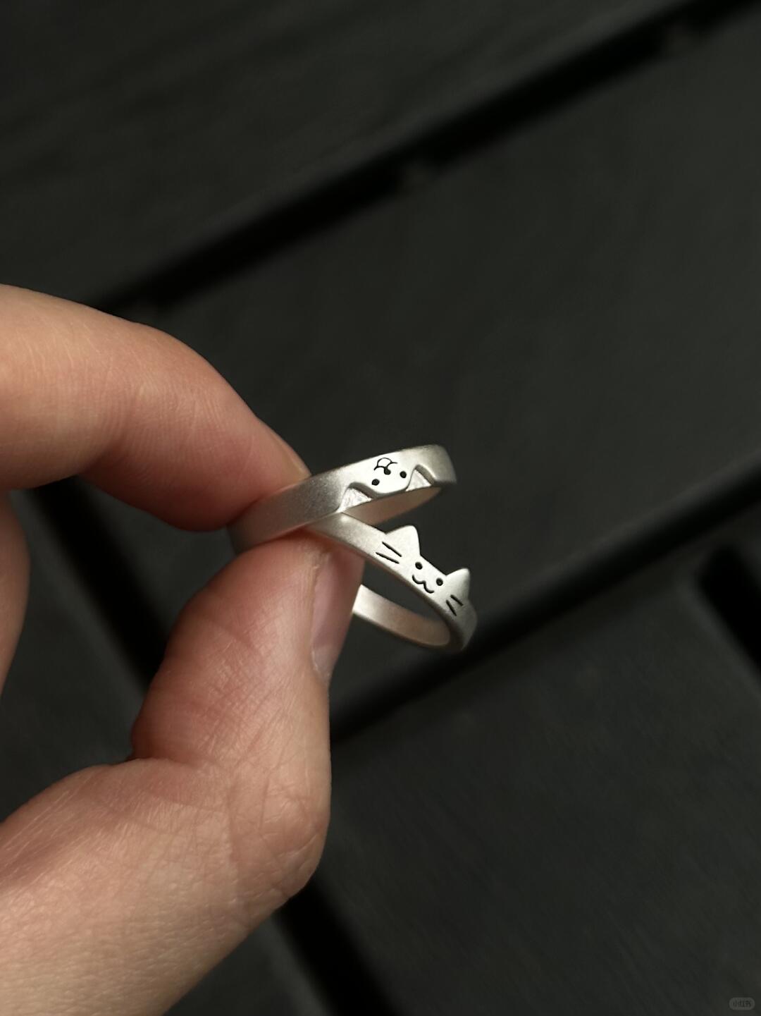 The World Is Torn, But We Sew It Back | Cat & Dog Couple Rings in Sterling Silver
