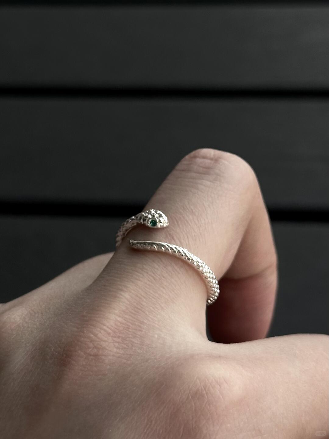 New Year Serpent | Love-Filled Joy Serpent Ring (Y2K Limited)