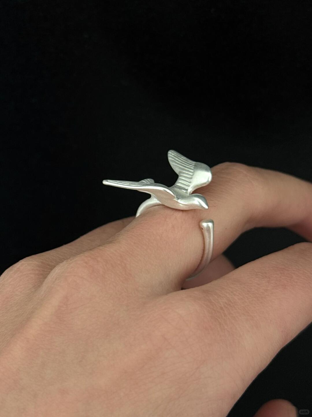 Albatross Lift | Headwinds Are True Lift Statement Ring (Y2K Limited)