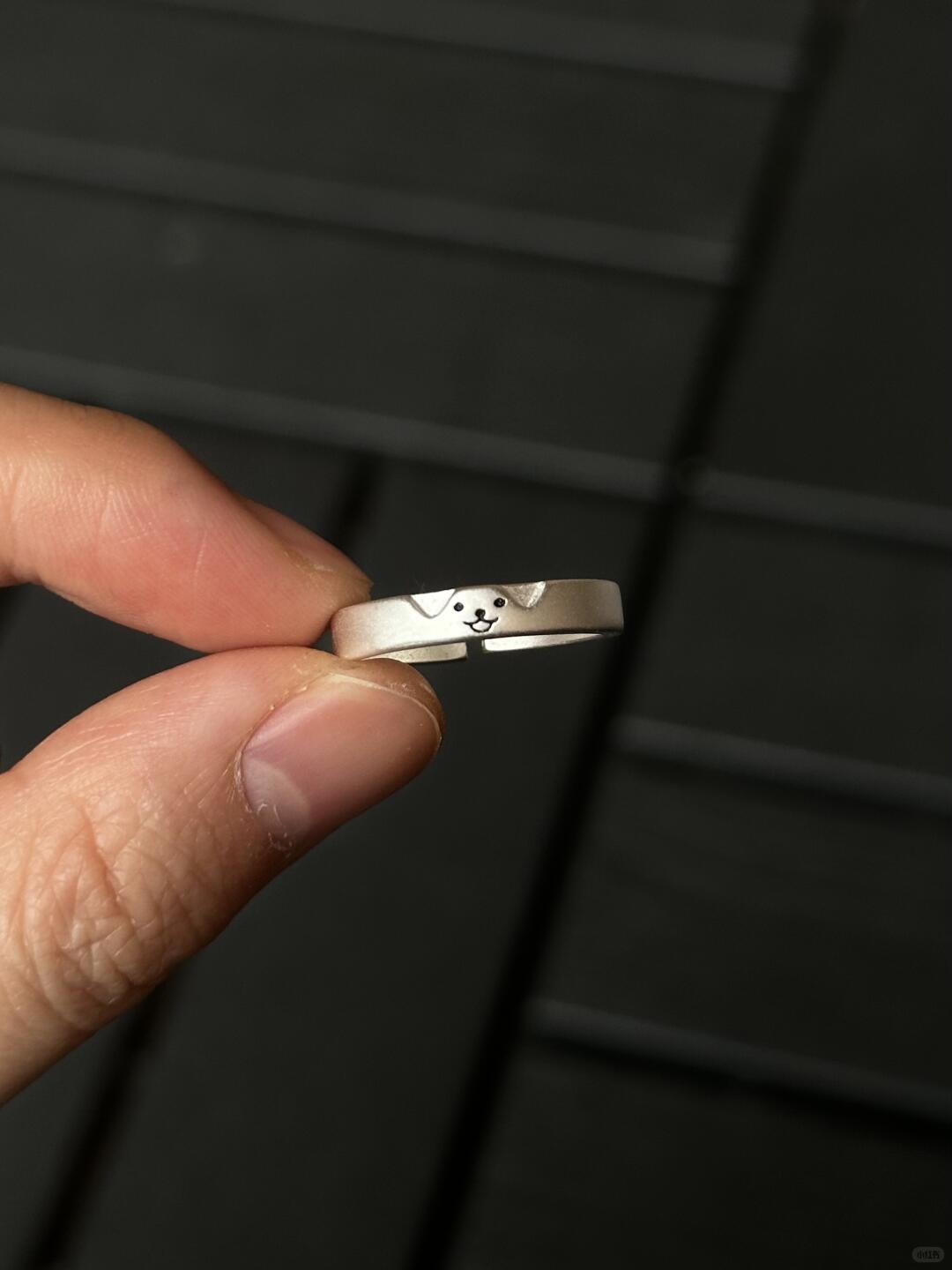 The World Is Torn, But We Sew It Back | Cat & Dog Couple Rings in Sterling Silver