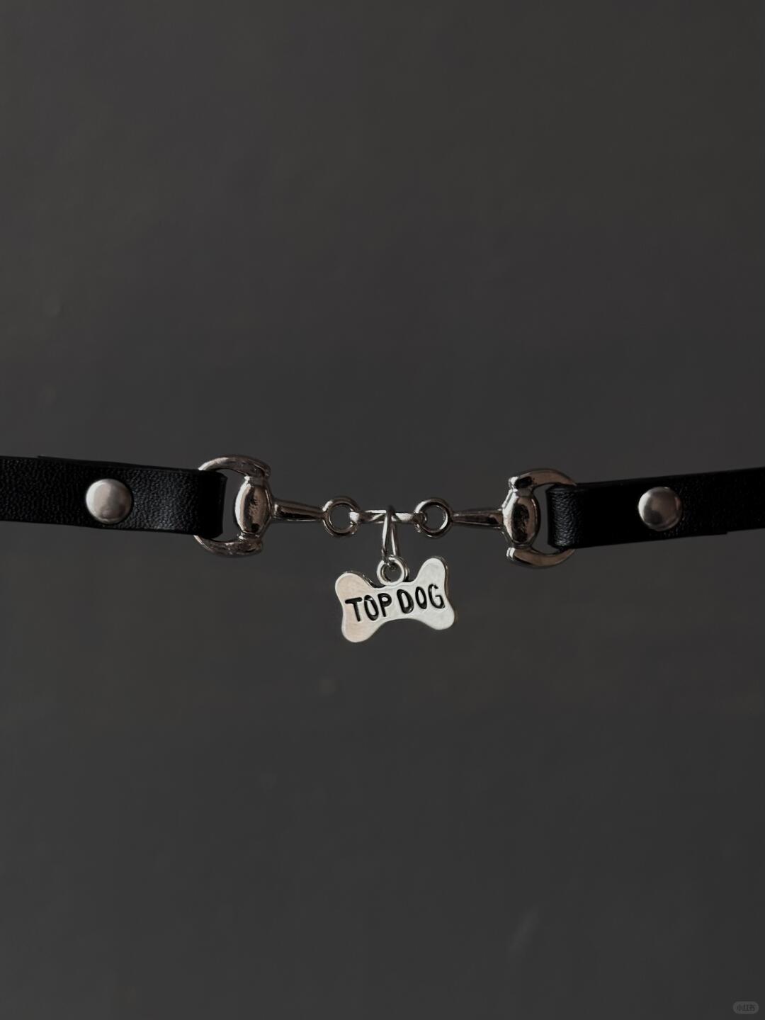 Devoted Like a Puppy | Y2K-Inspired Choker with Soft Obsession