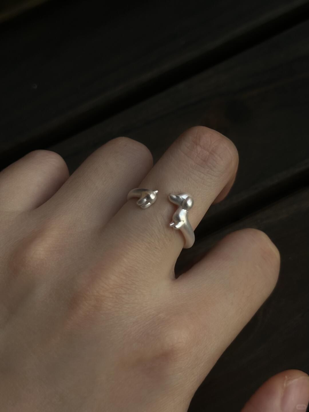 Endlessly Long Dog | Infinite Dachshund Ring for Puppycore People