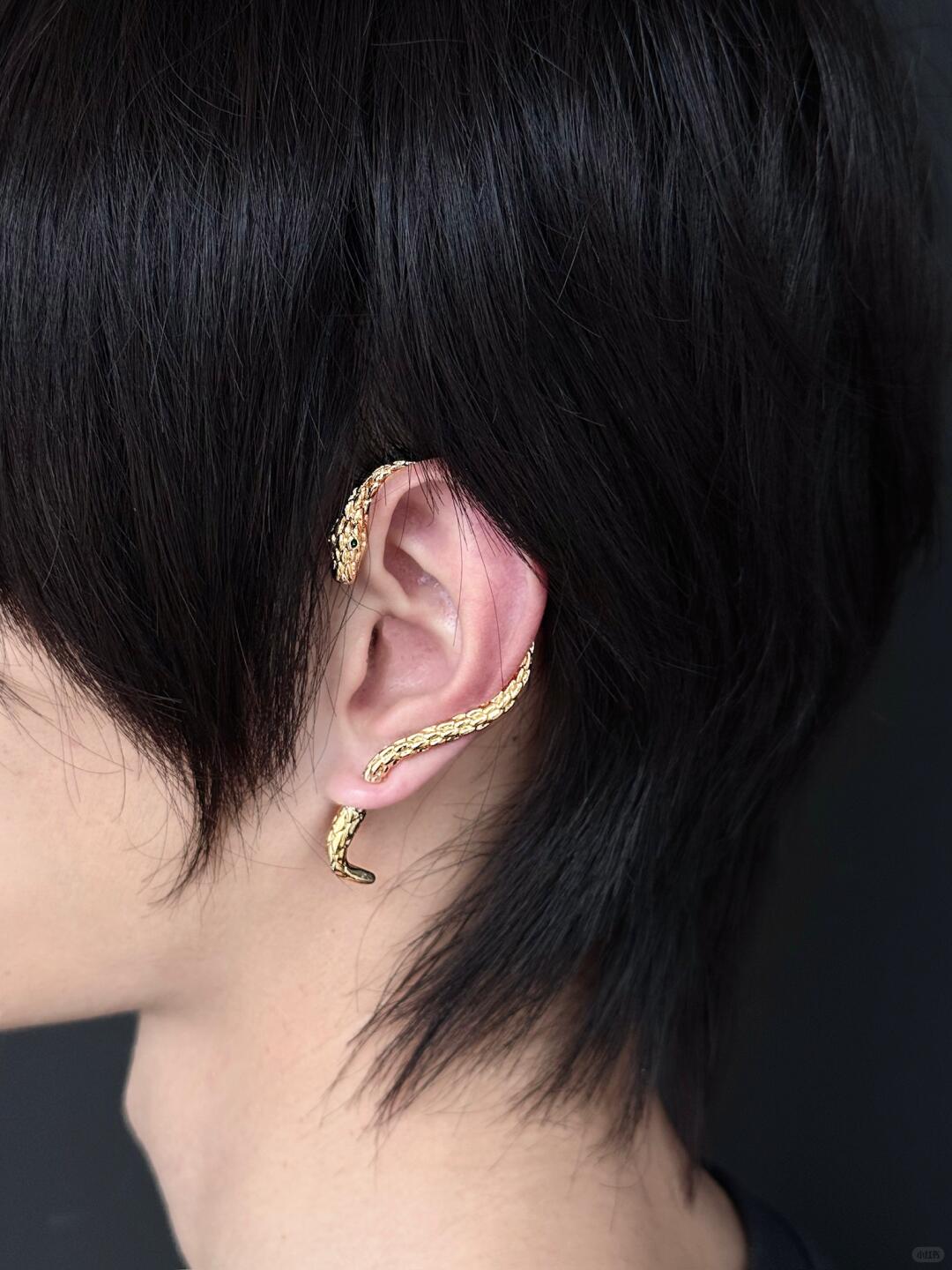 Serpent’s Unbound | Dark Romance Snake Stud Earrings (Y2K Limited)