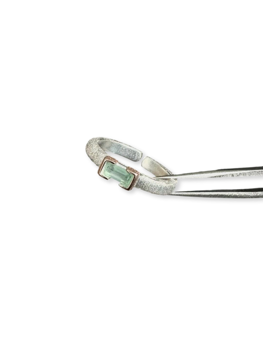 Bond with Spring | Poetic Silver-Plated Spring Ritual Ring (Y2K Limited)