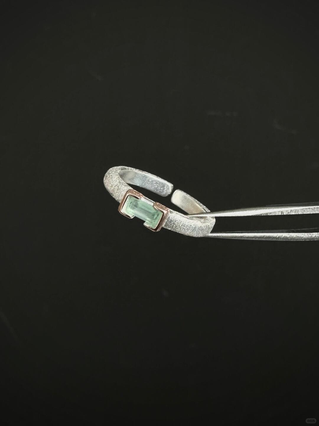 Bond with Spring | Poetic Silver-Plated Spring Ritual Ring (Y2K Limited)