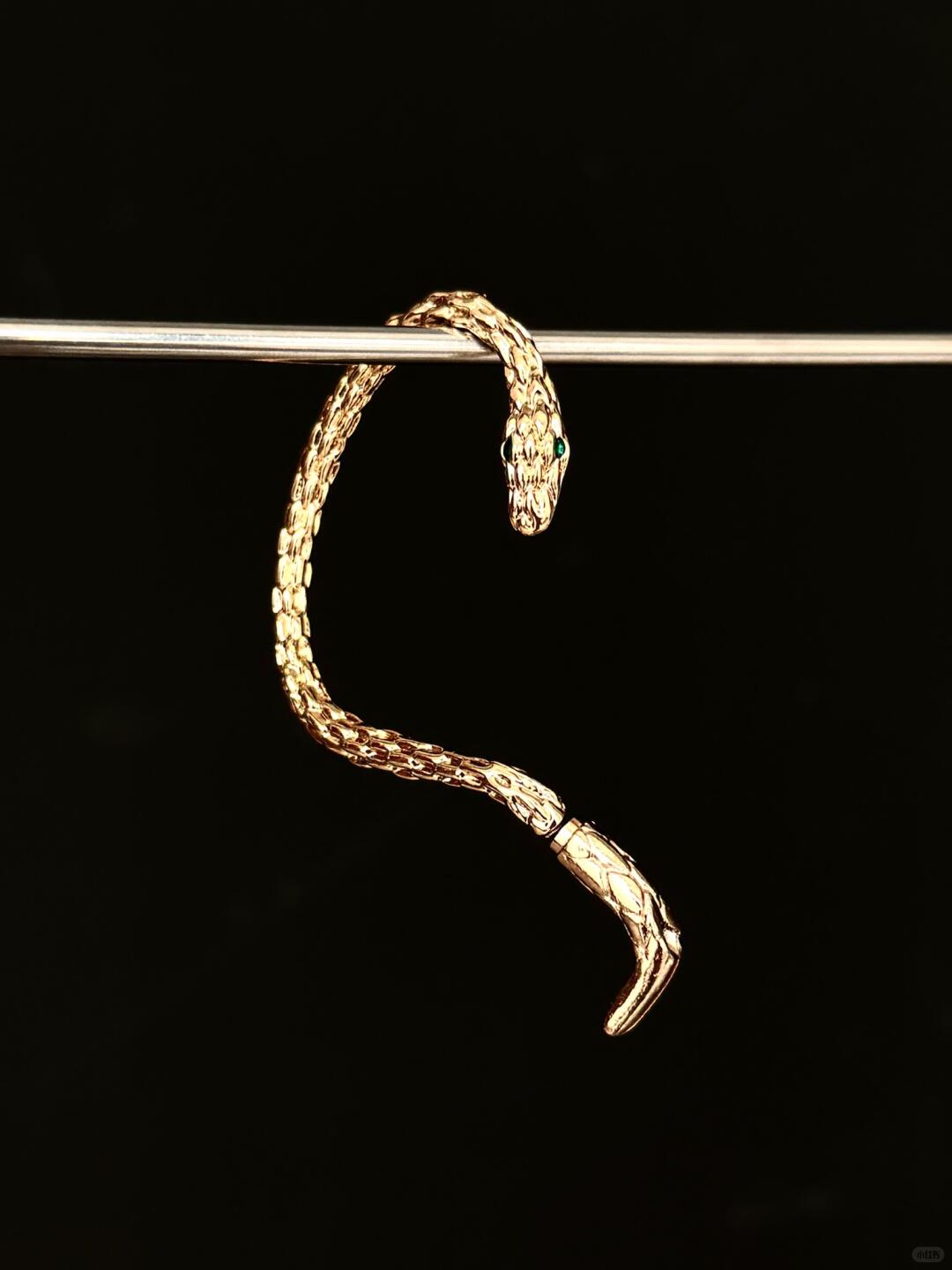 Serpent’s Unbound | Dark Romance Snake Stud Earrings (Y2K Limited)