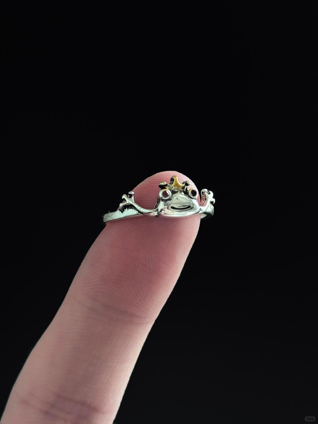 Crown’s Secret Key | Monarchical Gaze Statement Ring (Y2K Limited)
