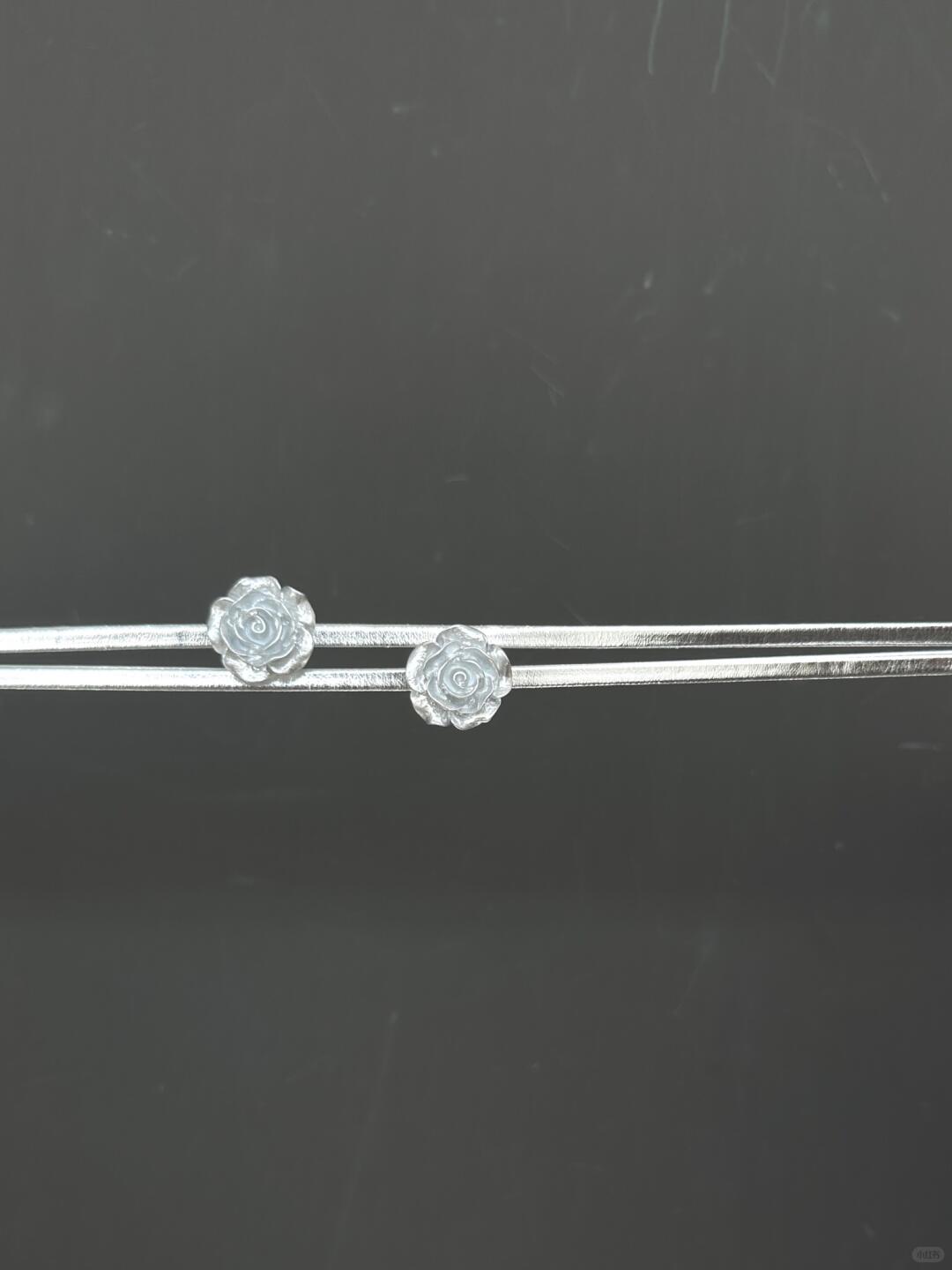 Roses under Moonlight Choker | Silver Elegance & Poetic Design (Limited Edition)