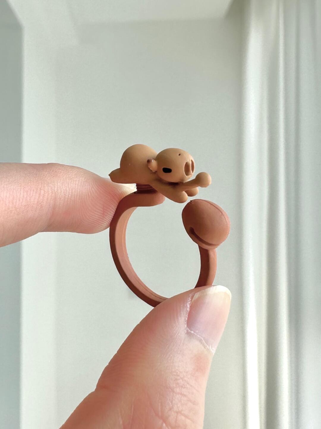 Woodpecker Dolphin Ring | Zen Calm & Playful Whimsy (Limited Edition)